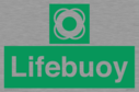 lifebuoy-with-symbol~